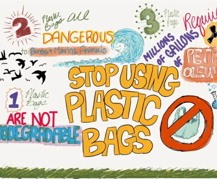 bags.png