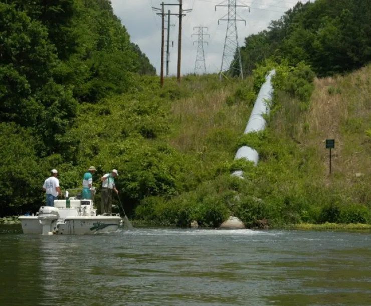 baitfishnetting.Gorgas.AshPond.Outfall-e1521153133898.jpg