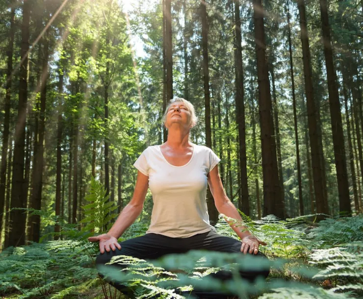 benefits-of-forest-bathing.jpg.144c0b426c6bc87e2bd427fa1d02eb5c.jpg