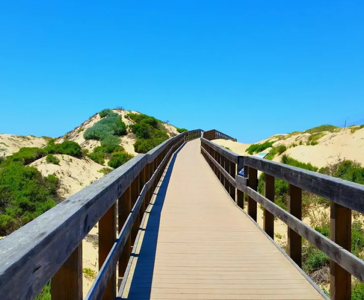 blog-osoflacobridge.jpg