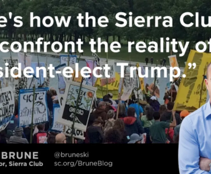brune-blog-post-election-dot-org.png