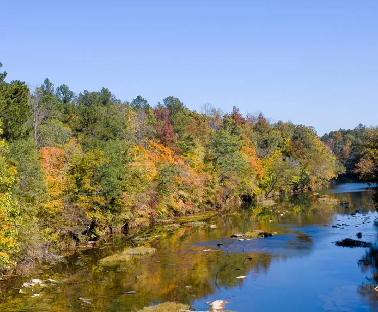 cahaba-1.jpg