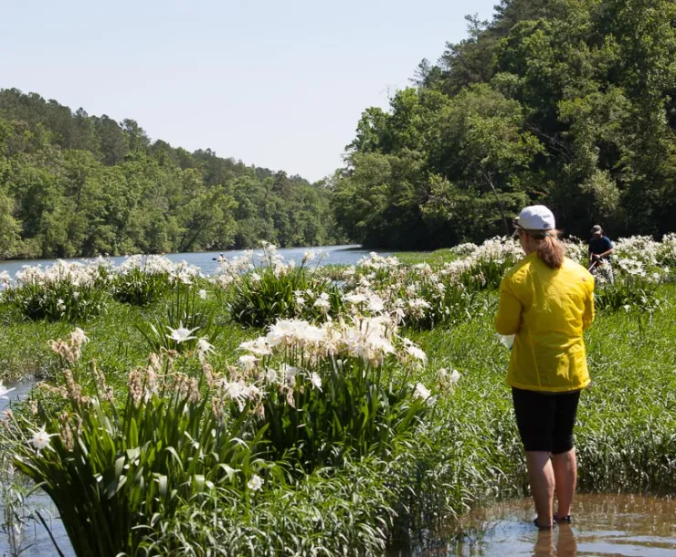cahaba-1.jpg