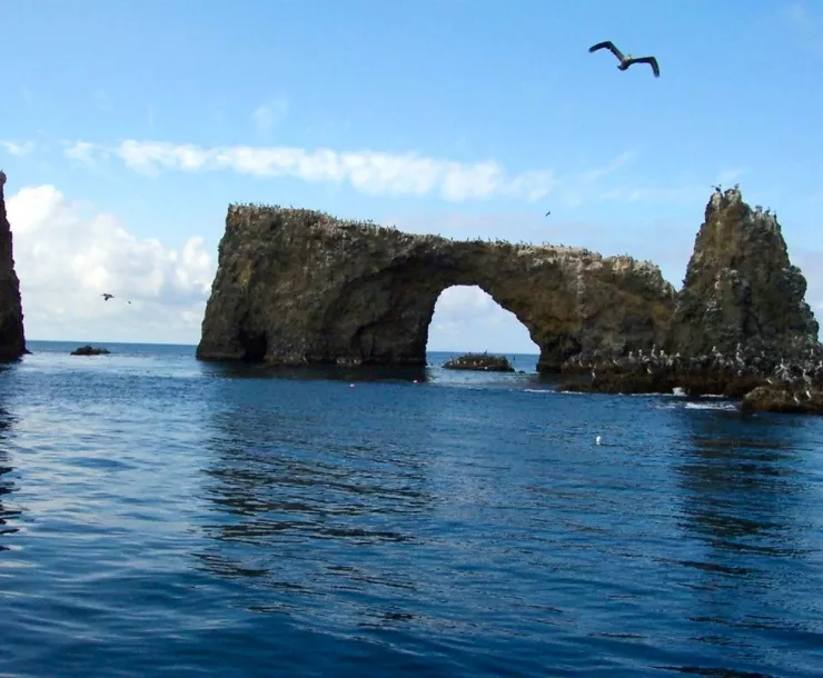 california-channel-islands-anacapas-arch-rock.jpg