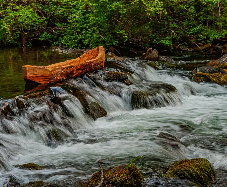 canoe river national forest-Paul Halliday-2011-digital only no resale.jpg