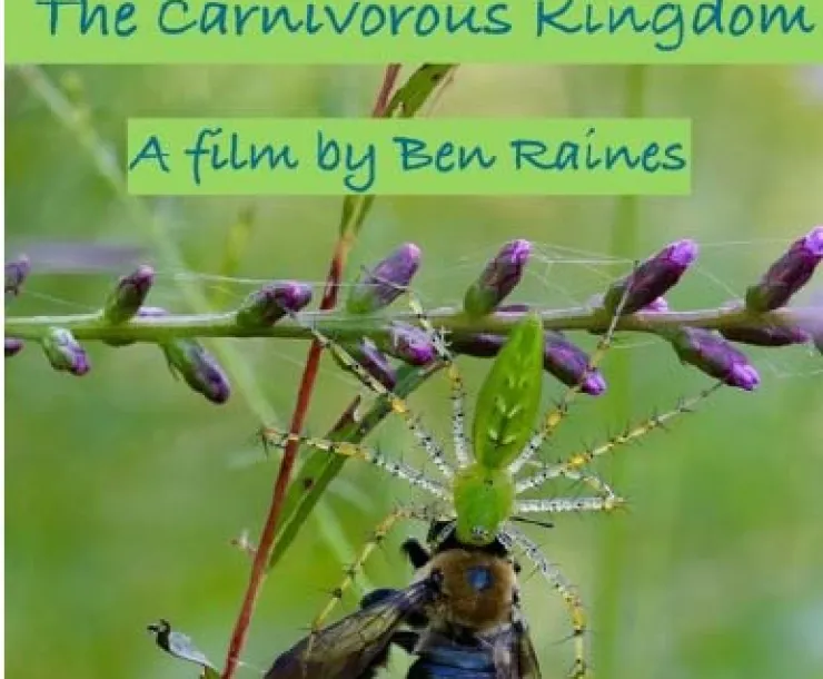 carnivorous.jpg
