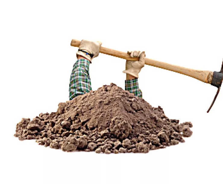ccsd dig a holex.jpg