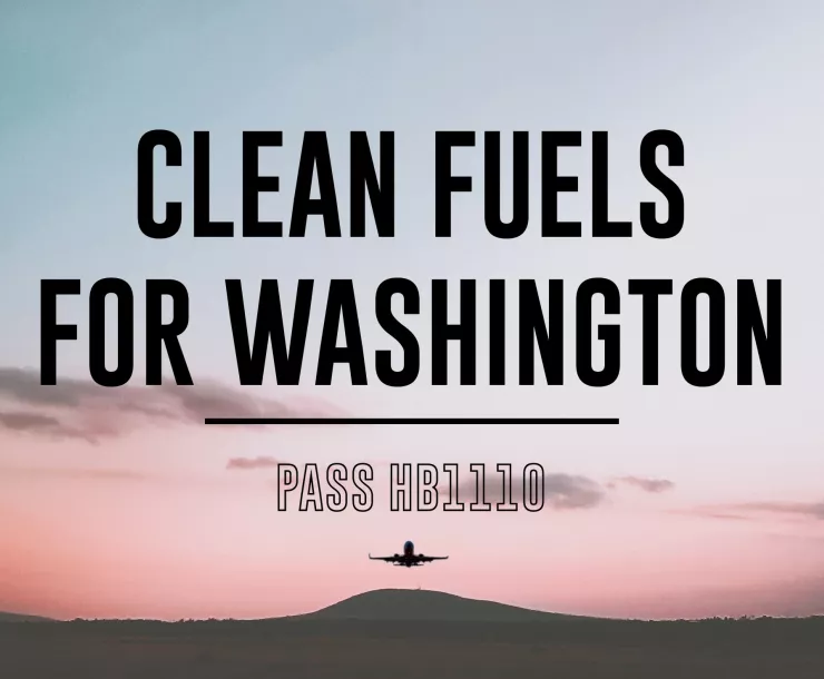 clean fuels graphic big.jpg