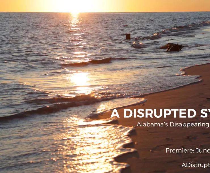 disrupted-system.jpg