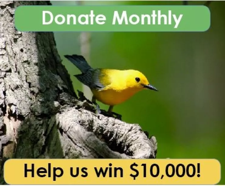 donate.jpg