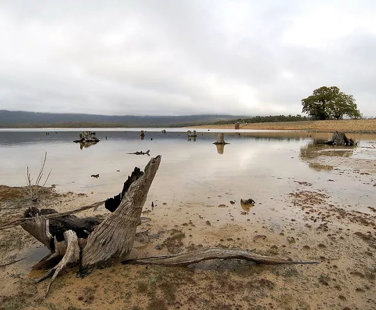 drought Berit Barton.jpg