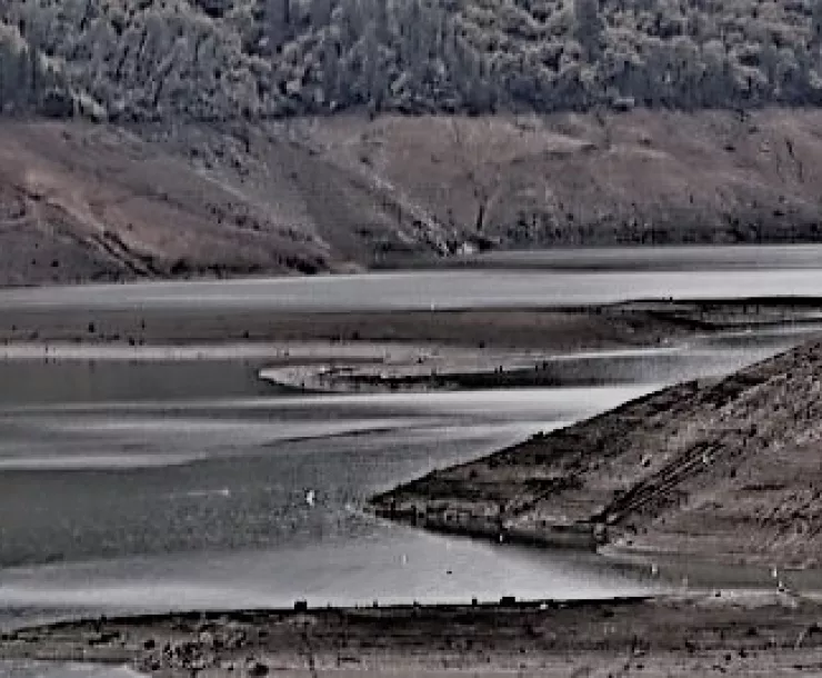 drought by Bradley Burkett.jpg