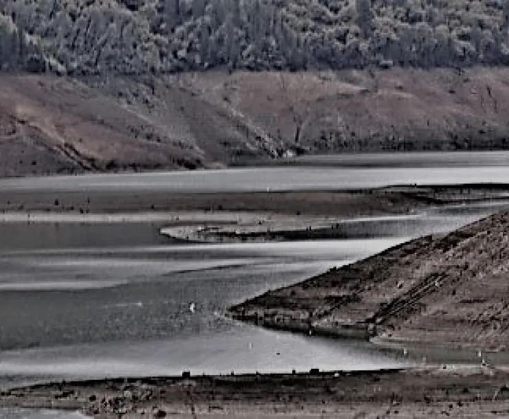 drought by Bradley Burkett.jpg