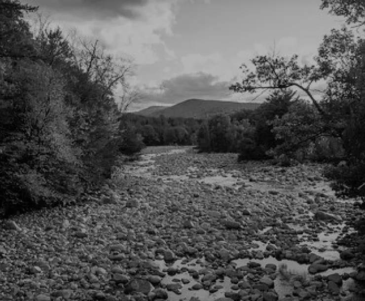 drought by Steven Carter.jpg