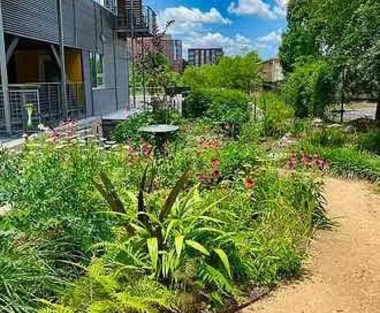 durhamCohoGarden.jpg