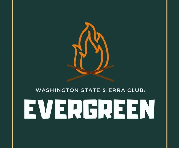 evergreen_15.png