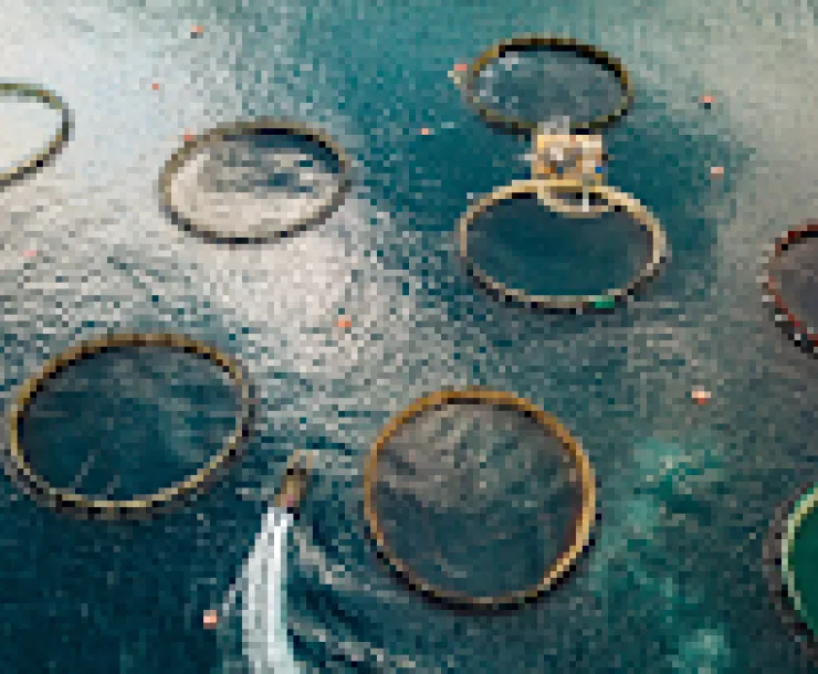 fish farm 1.png