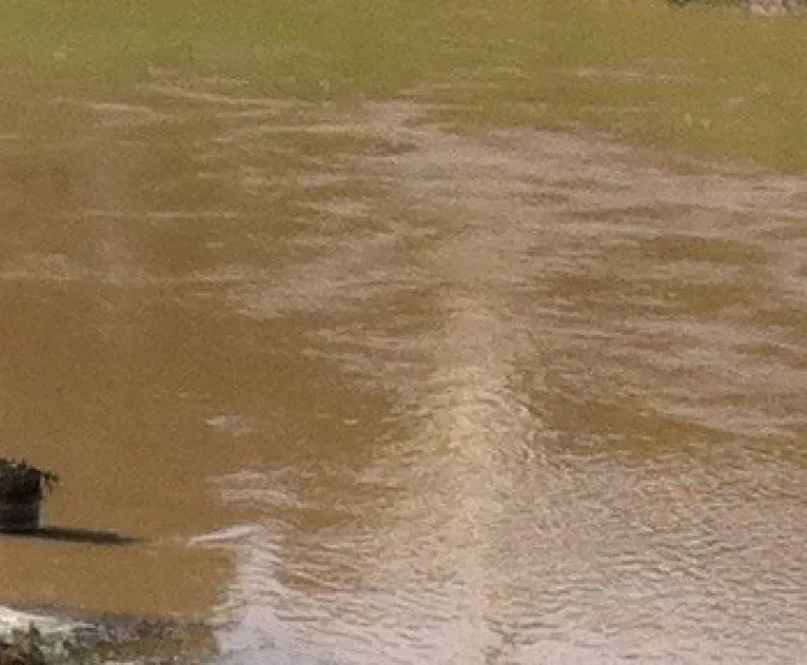 flooding.jpg