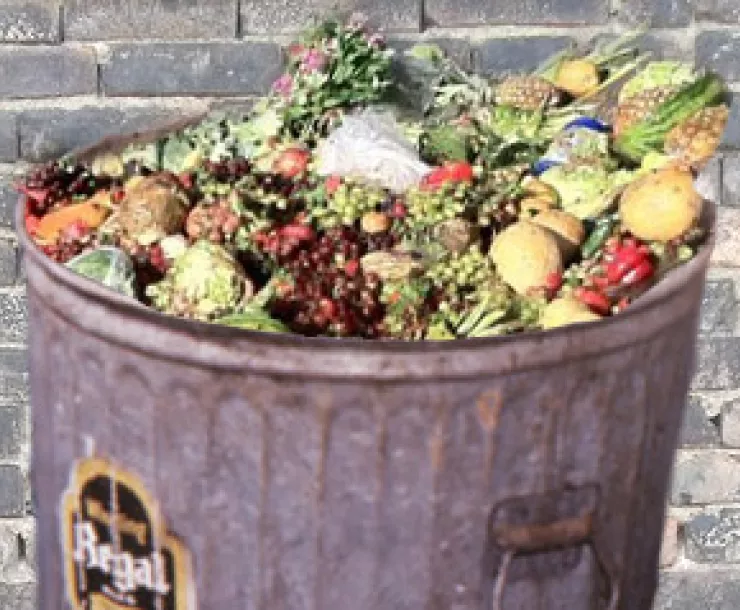food-waste-can.jpg