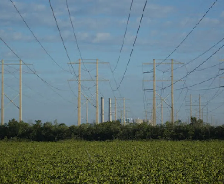 fpltransmissionlines.jpg