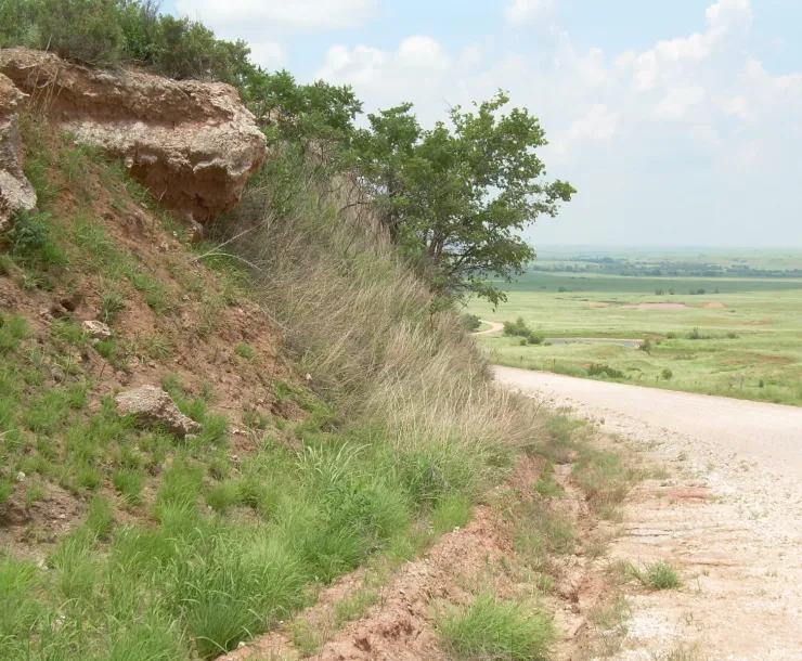 gyp hills roadcut.JPG