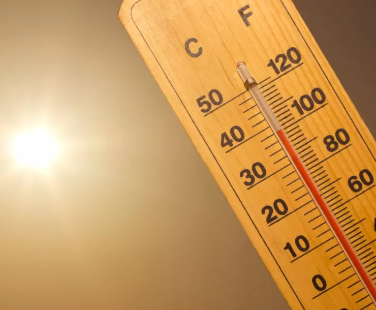 high summer temps.png