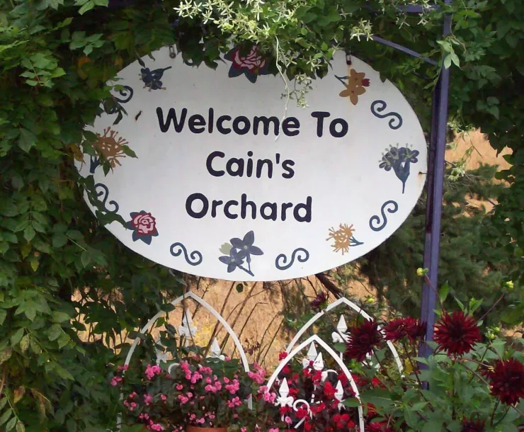 image_6483441 (1).JPG