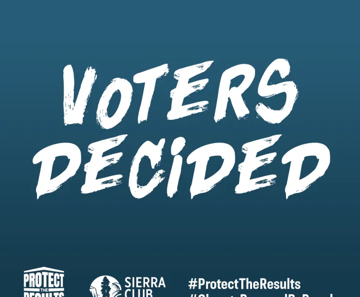 img-voters-decided.png