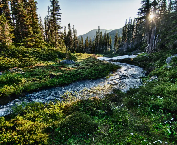 jachan-devol-ssEQdOiKd8U-unsplash.jpg