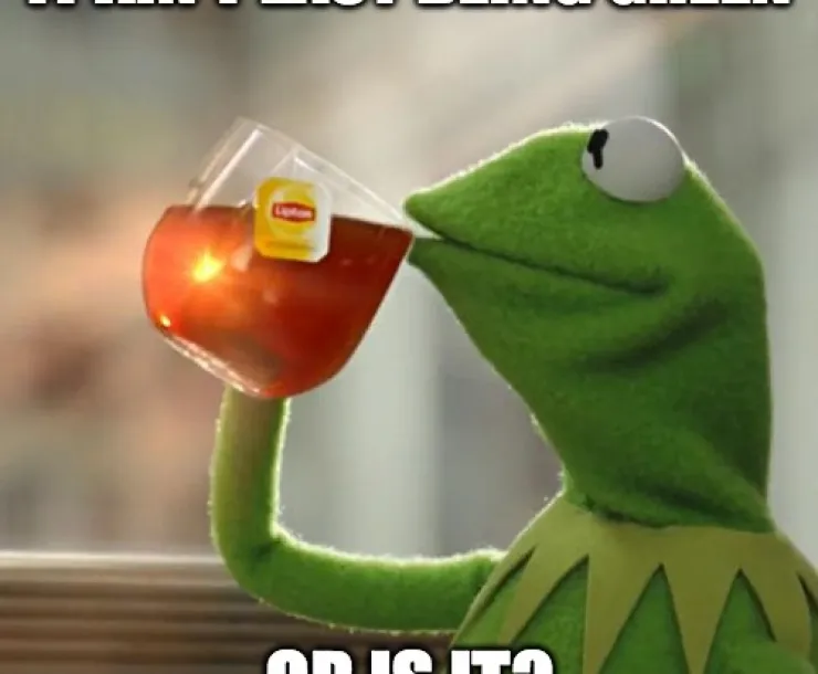 kermit blog SC.jpg