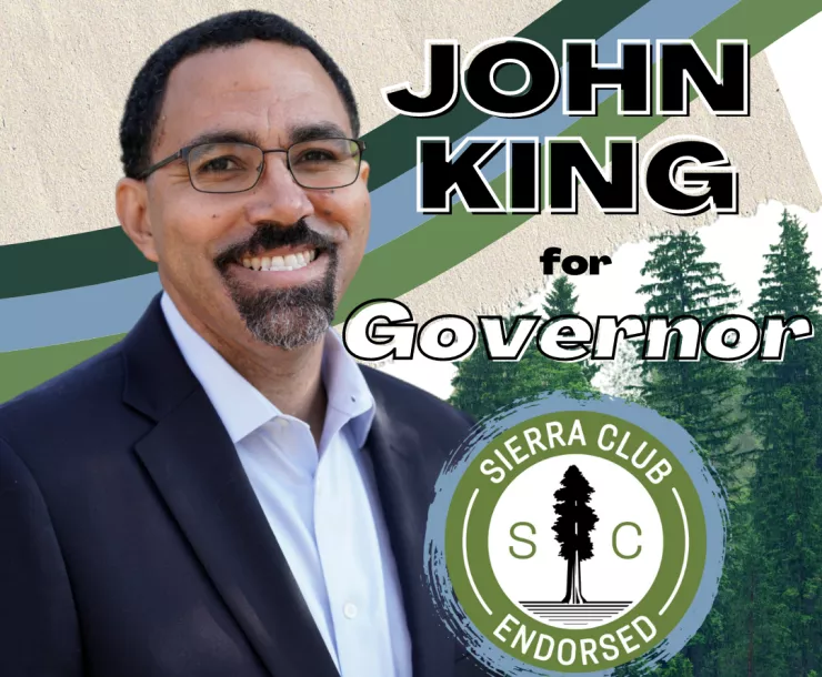 king for governor endorsement.png
