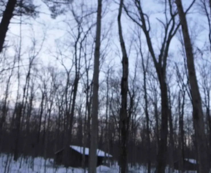 lake_nox_cabin cropped.jpg