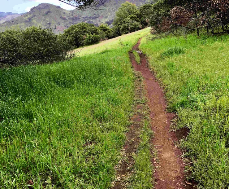 level_trail.jpg