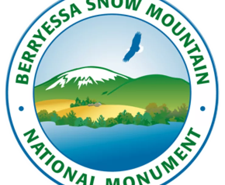 logo.png