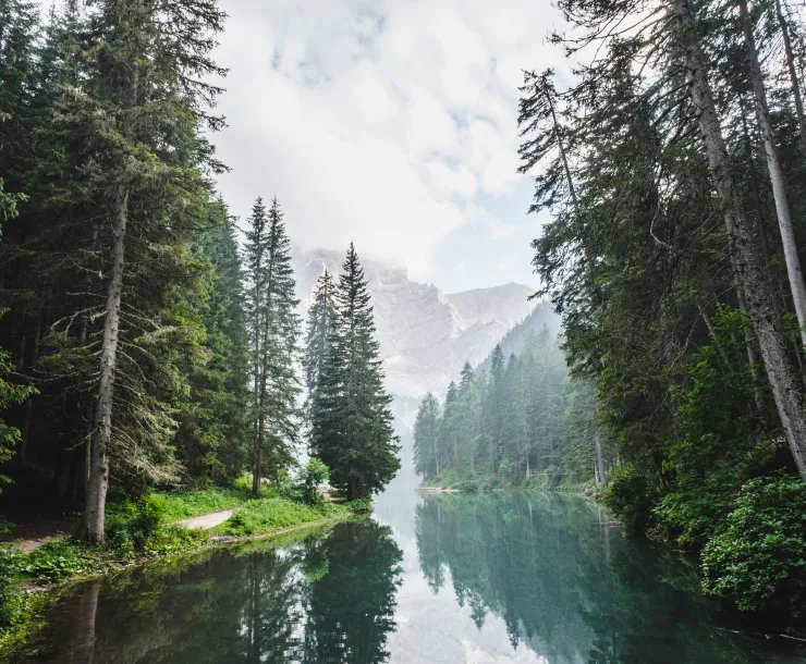 luca-bravo-134776-unsplash.jpg