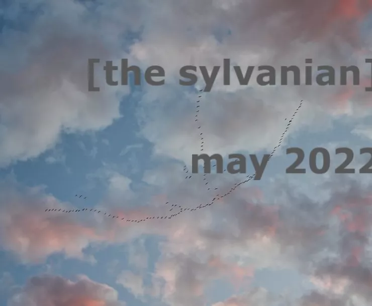 may cover.jpg