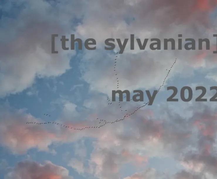 may cover.jpg