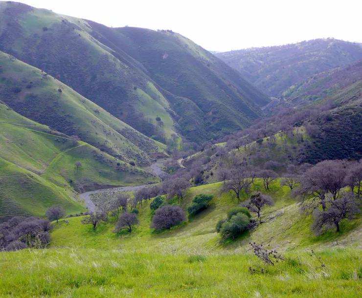 mitchell-ravine-tesla-park-spring (1).jpg