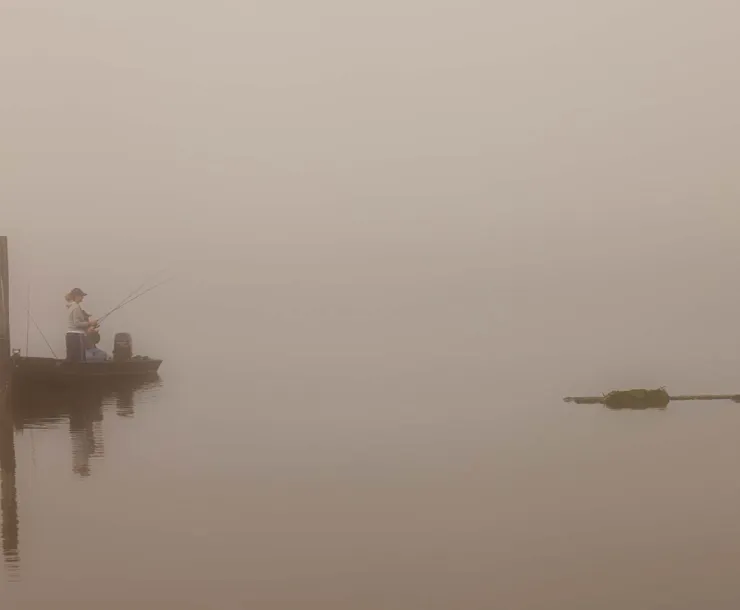 mobile-bay-1.jpg