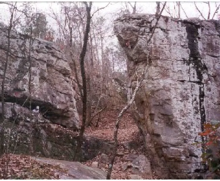 mossrock.png