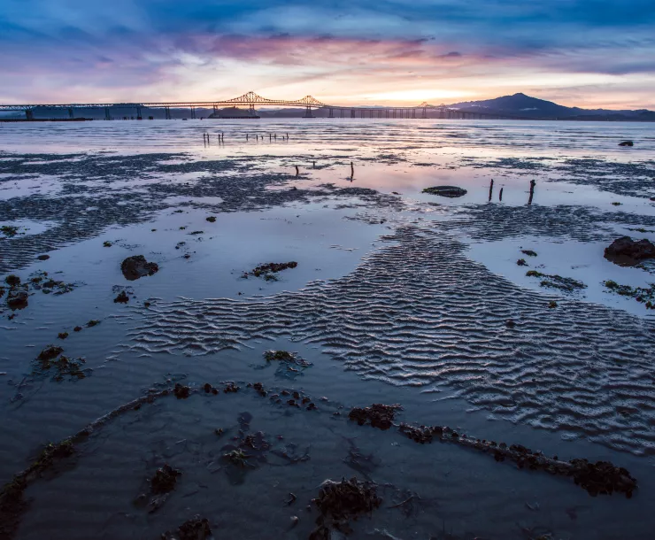 mudflats and sunset at molate beach - LNaumovich-3549.jpg