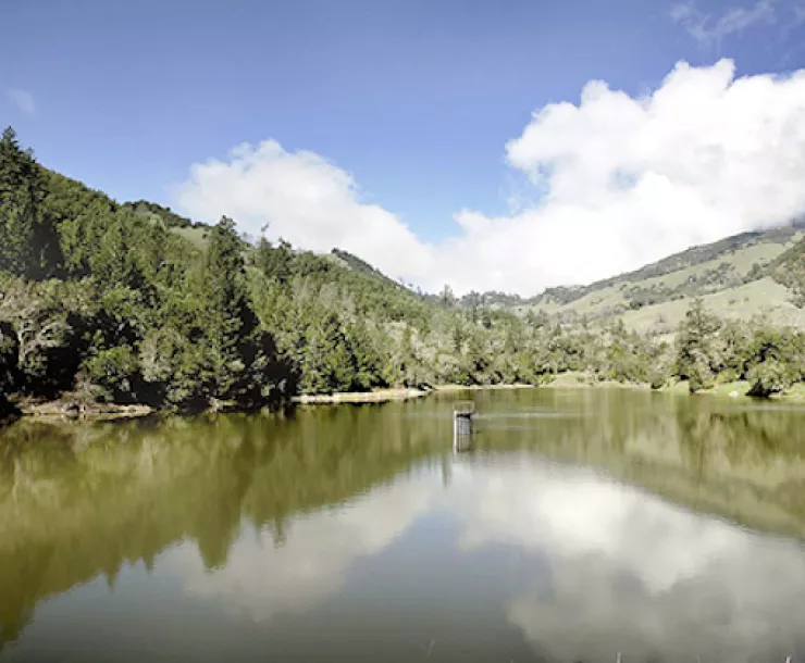 napa watershedsmaller.jpg