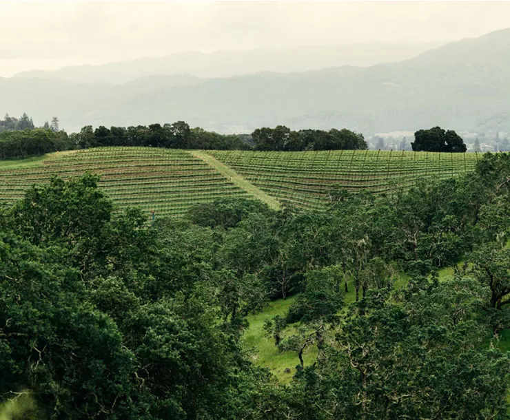 napavalley-mobile.jpg