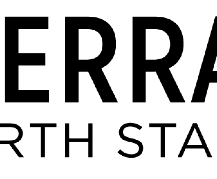 northStarChapterLogo.png