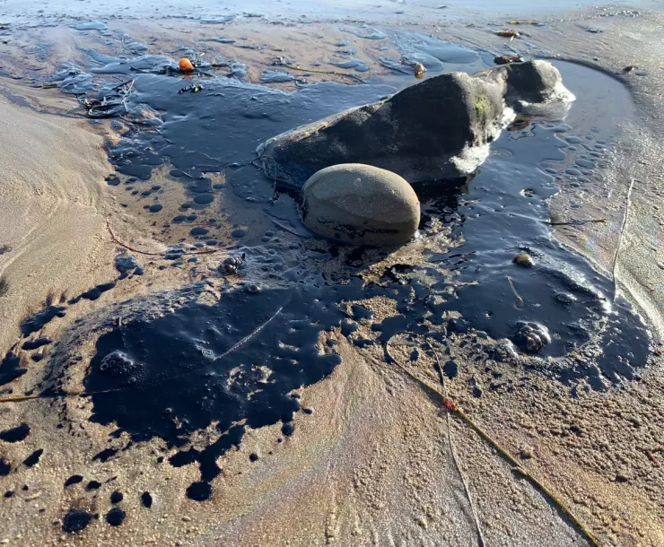 oil bubblers off Summerland by Jim Taylor.jpg