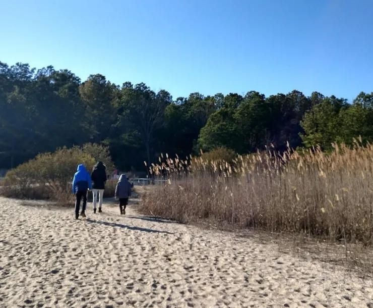 outdoor-hiking-grasses.jpg
