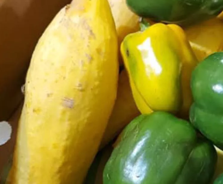 peppers-and-squash_thumb.jpg
