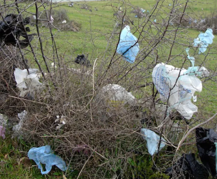 plastic bag litter.jpg