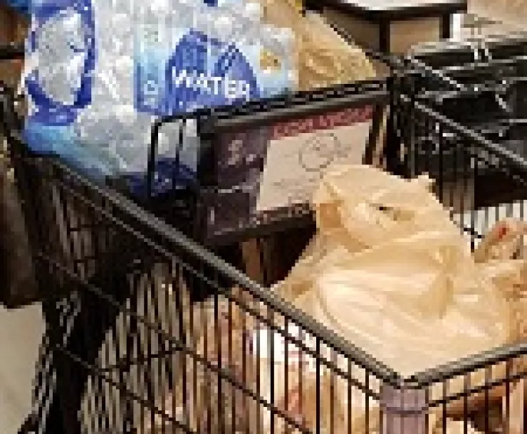 plastic waste and grocery shopping-2.jpg