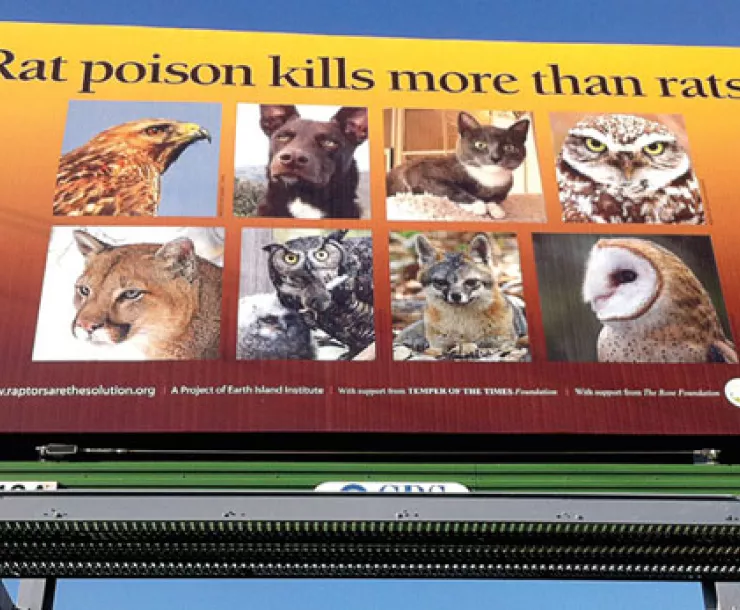 ratPOison.jpg
